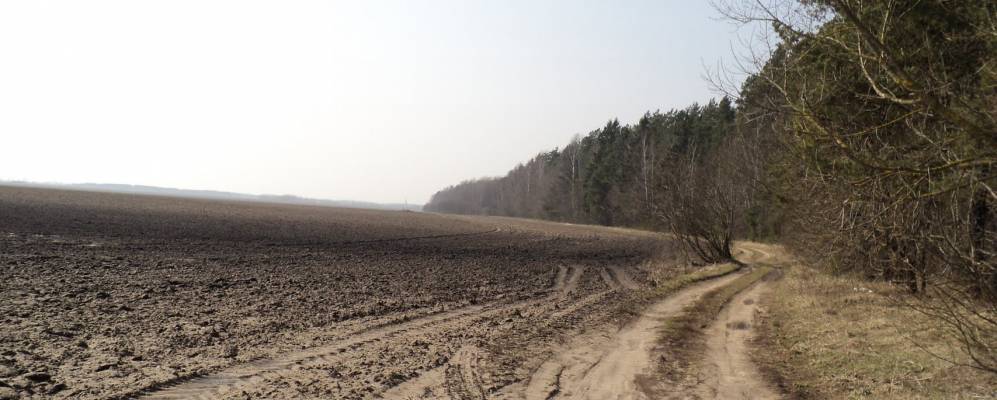 
            Фотография деревни Головачи