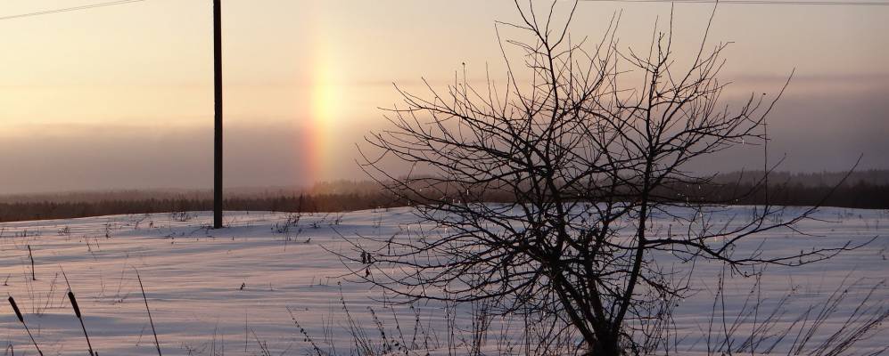 
            Фотография Козлово