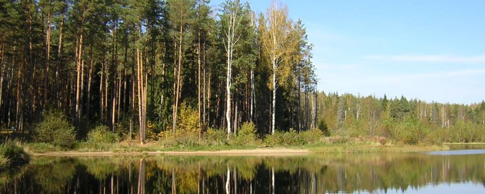 Фотография Болвы