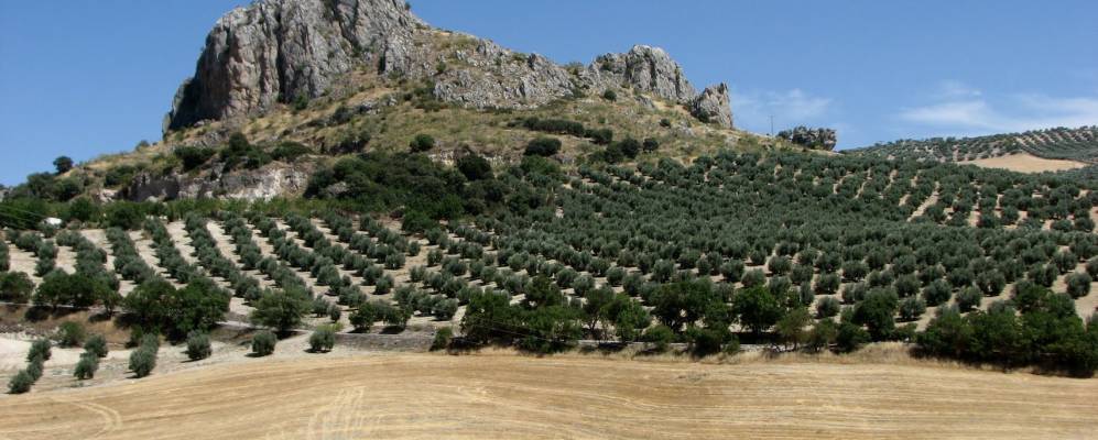 
            Фотография Puerto-López