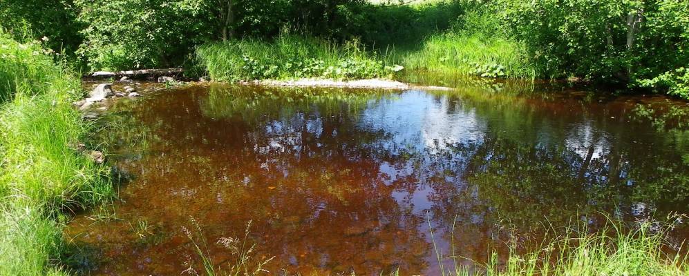 
            Фотография Корешно