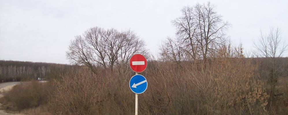 
            Фотография Ясенка Первого