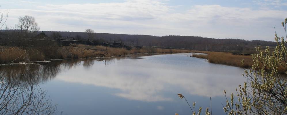 
            Фотография Сажино