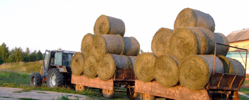 
            Фотография Корчажкино