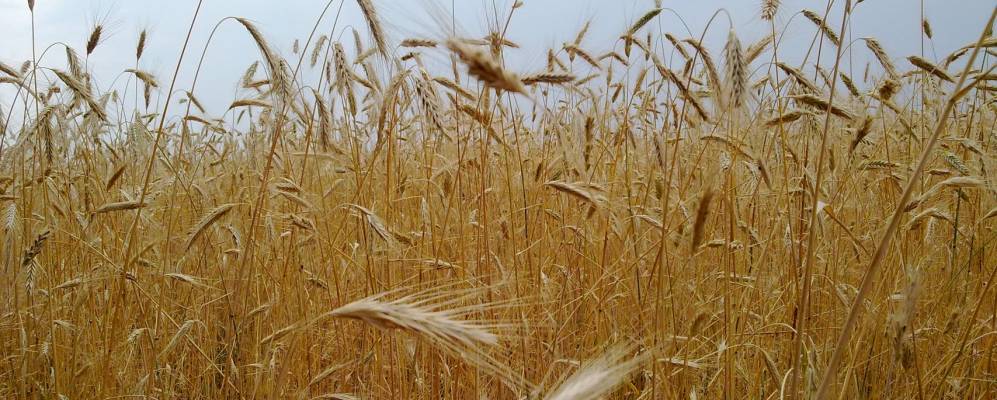 Фотография Лазарево