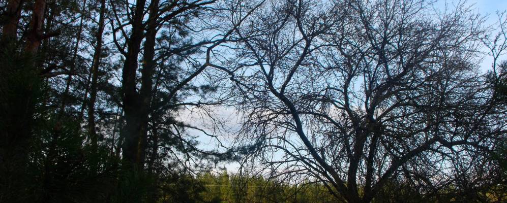 
            Фотография Гуляево