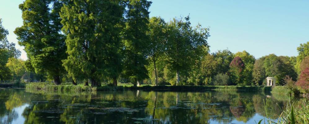 
            Фотография Виней-Сен-Фирмена