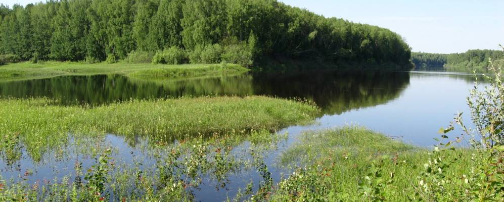 
            Фотография Пахомова