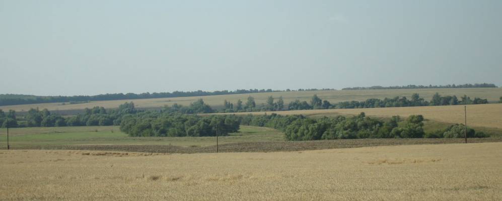 Фотография Кобзевки