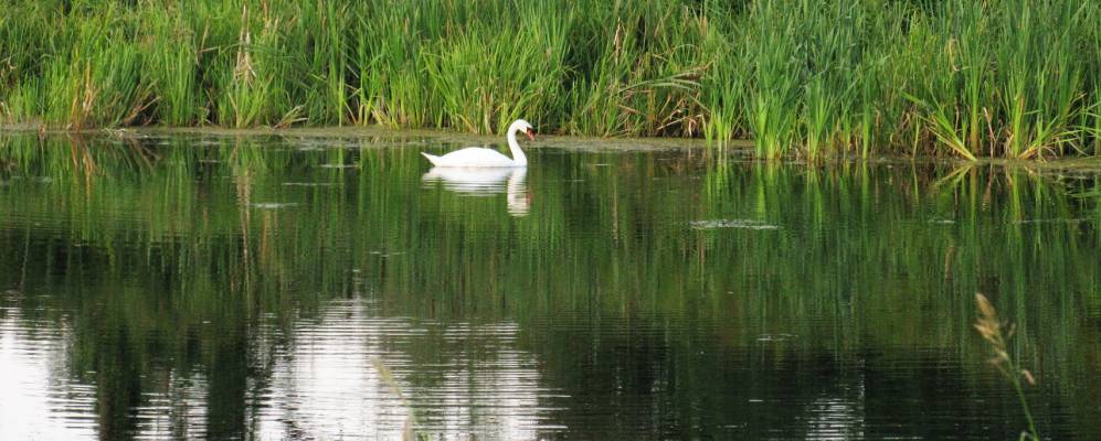 
            Фотография деревни Коробки