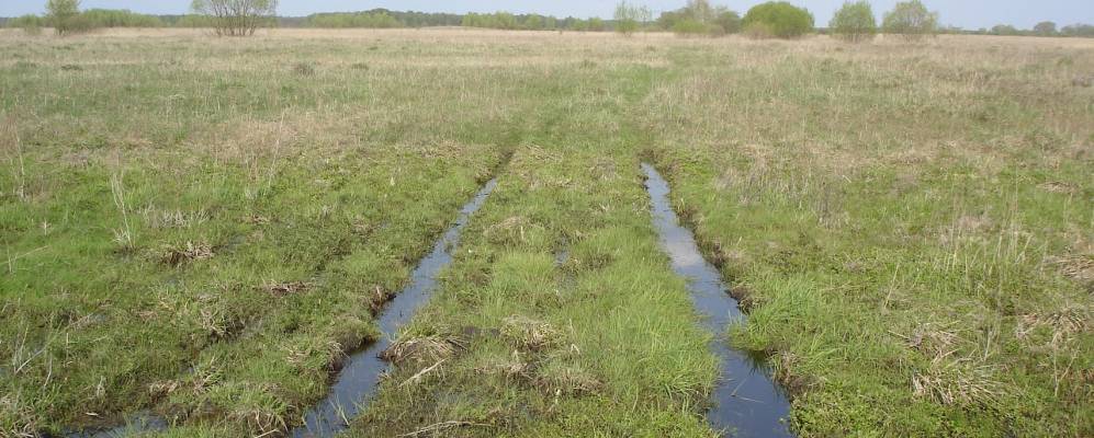 
            Фотография Вишневского