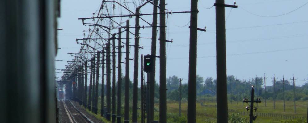 
            Фотография Танчика