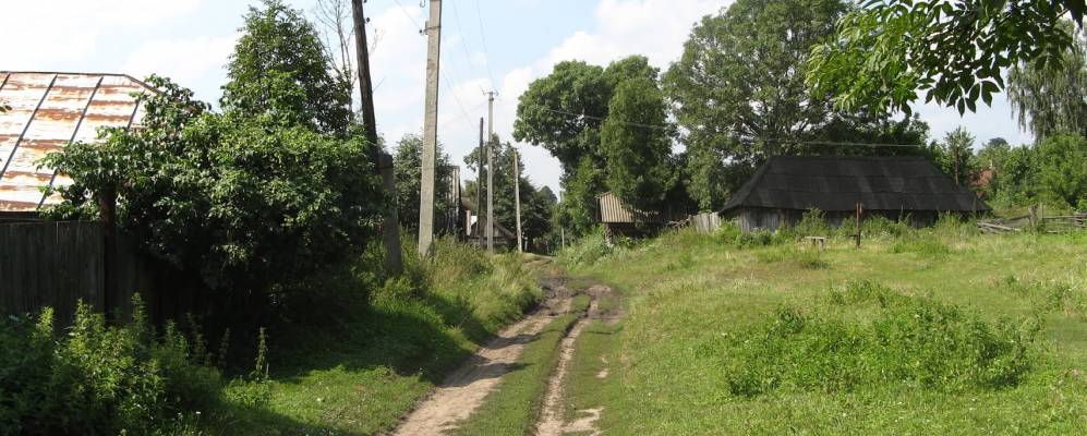 
            Фотография Ярового