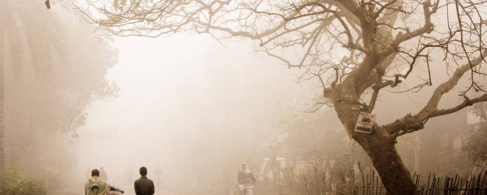 
            Фотография Ранагата