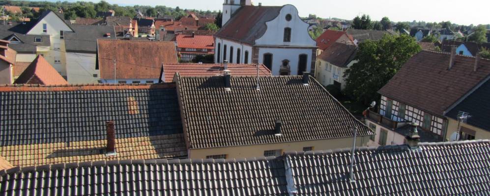 
            Фотография Гри