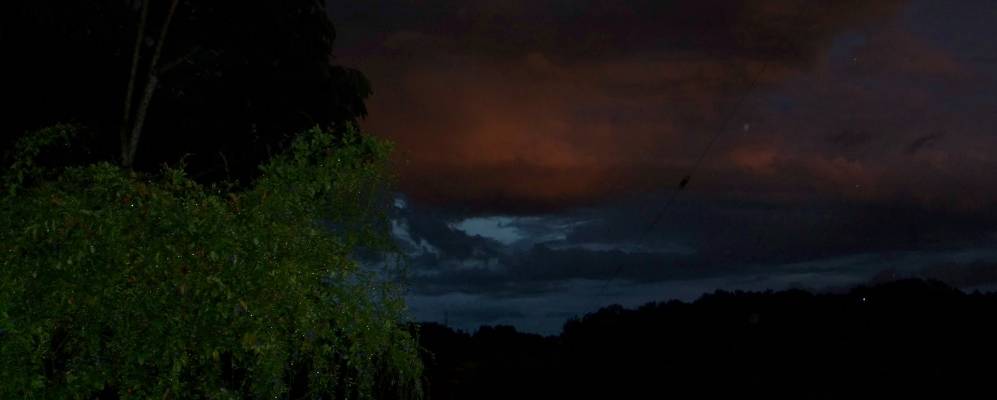 
            Фотография Пинеллас Парка