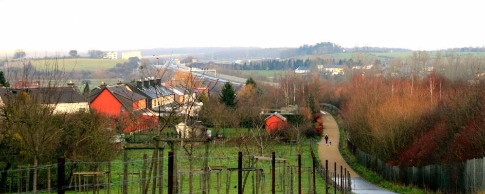 Фотография Беттембура