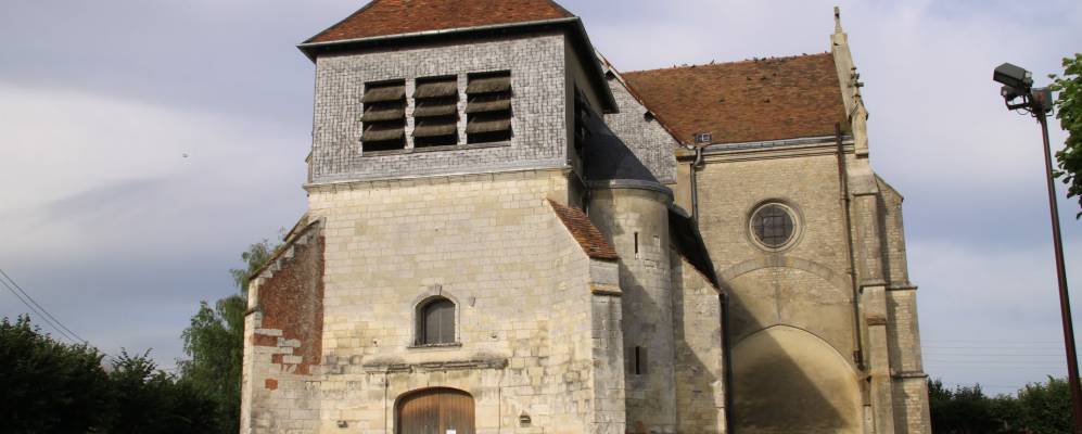 
            Фотография Piney