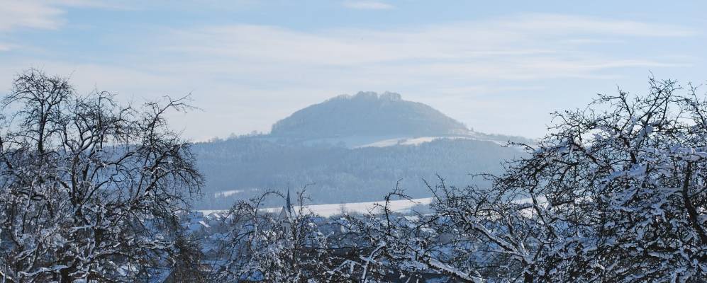 
            Фотография Вешенбойрена