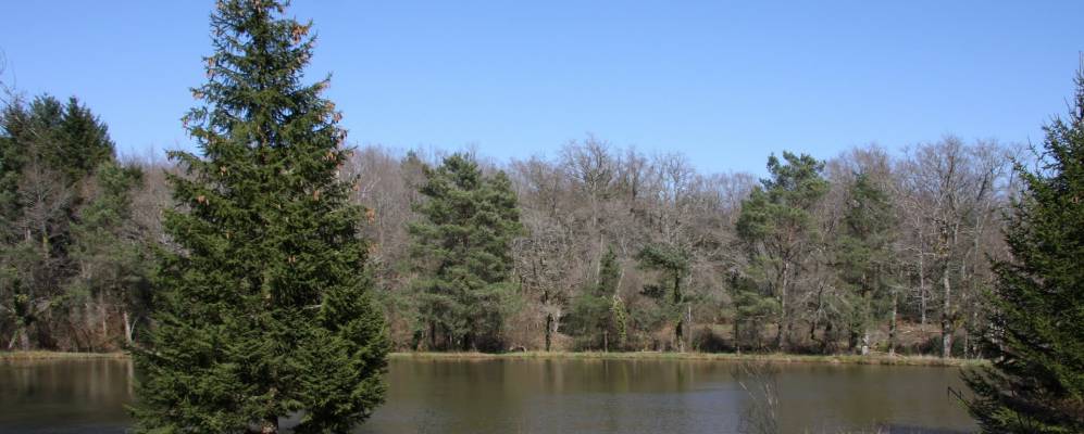 
            Фотография Вейрака