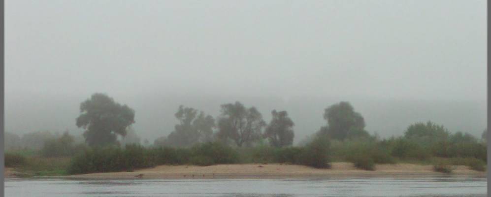 
            Фотография Клангяя