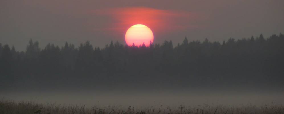 
            Фотография Дурдино