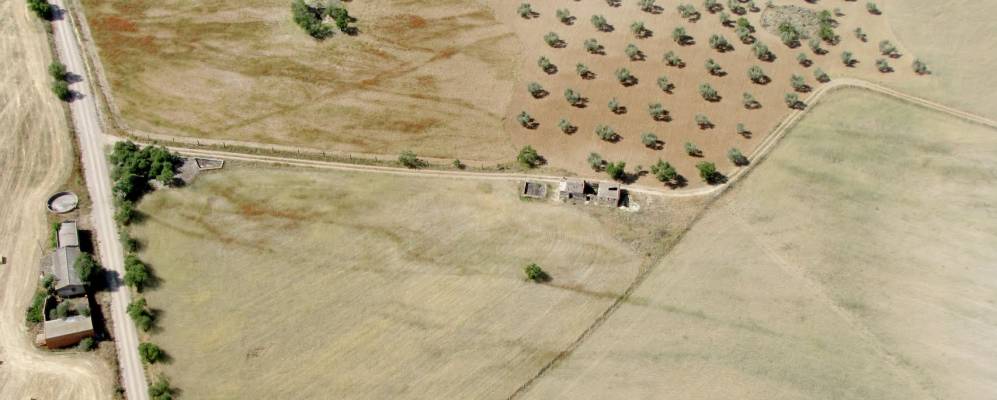 
            Фотография Totanés