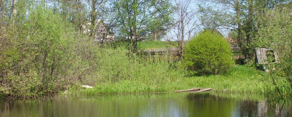 Фотография Спасовщины