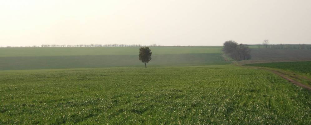 
            Фотография Нового