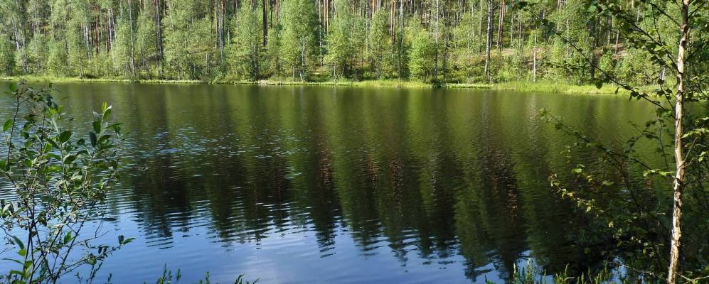 
            Фотография Паново