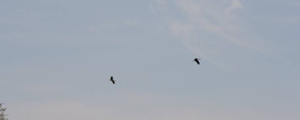 
            Фотография деревни Кадишки