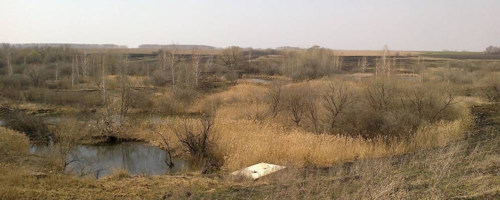 Фотография Второникольского