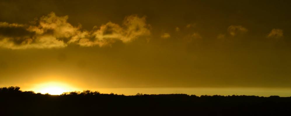 
            Фотография Норт Пекина