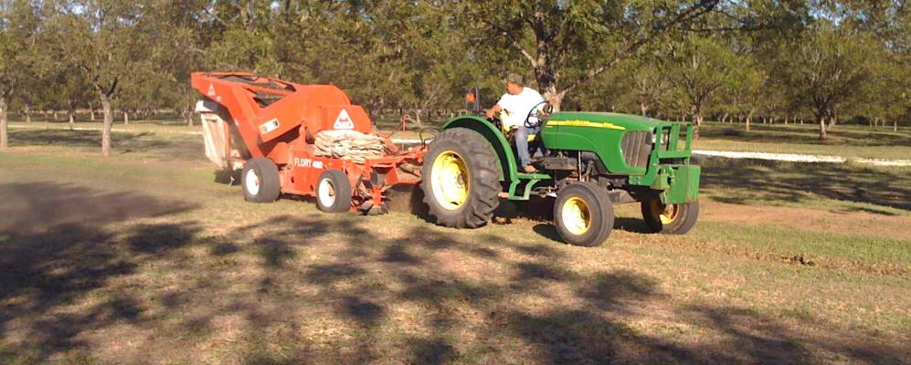 
            Фотография Гарфилда