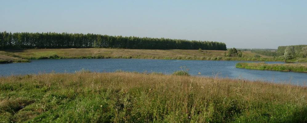 
            Фотография Девятого