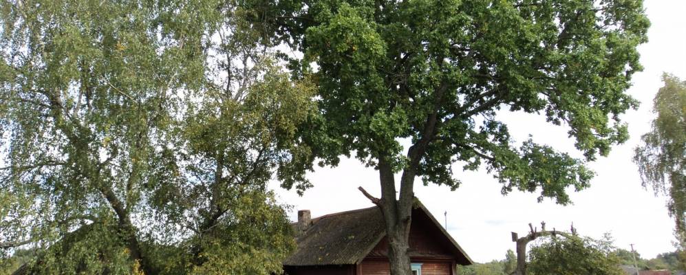 
            Фотография Кубка