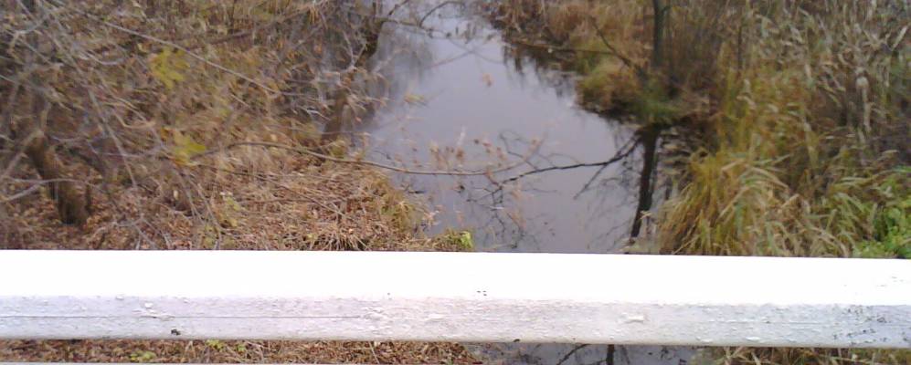 
            Фотография Донского