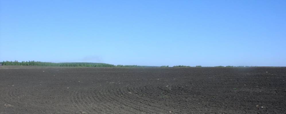 
            Фотография Латынцево