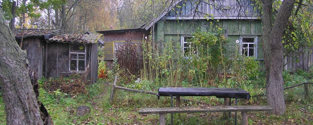 Фотография деревни Голени 2-е