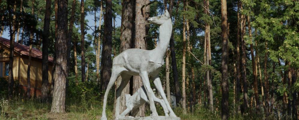 Фотография Соколовой Пустыни