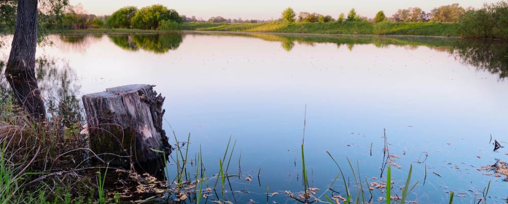 
            Фотография Костырева