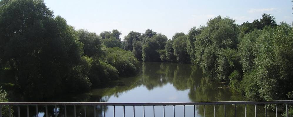 
            Фотография Березиной