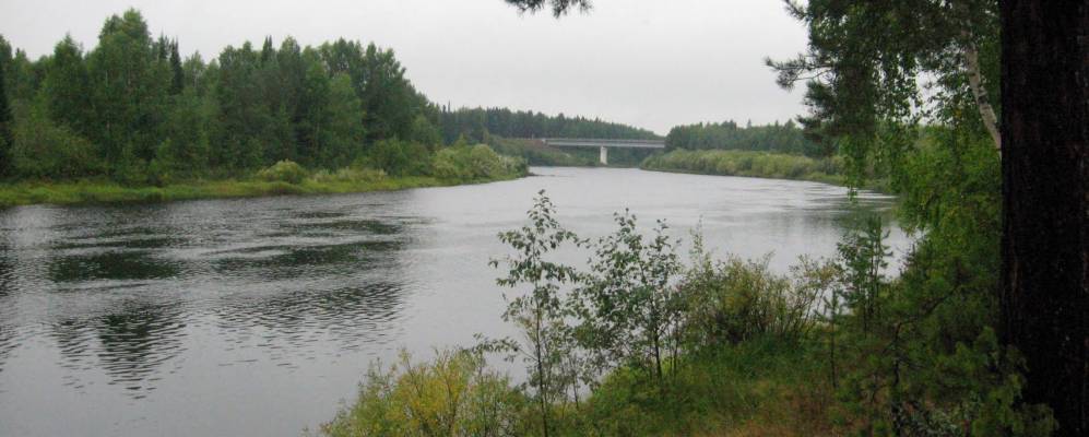 
            Фотография Березовки