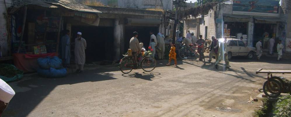 
            Фотография Зайды