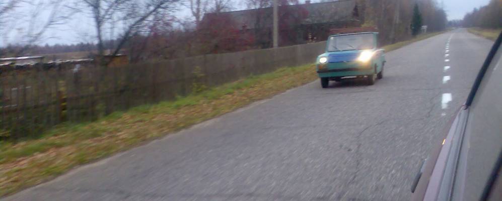 Фотография Дубца