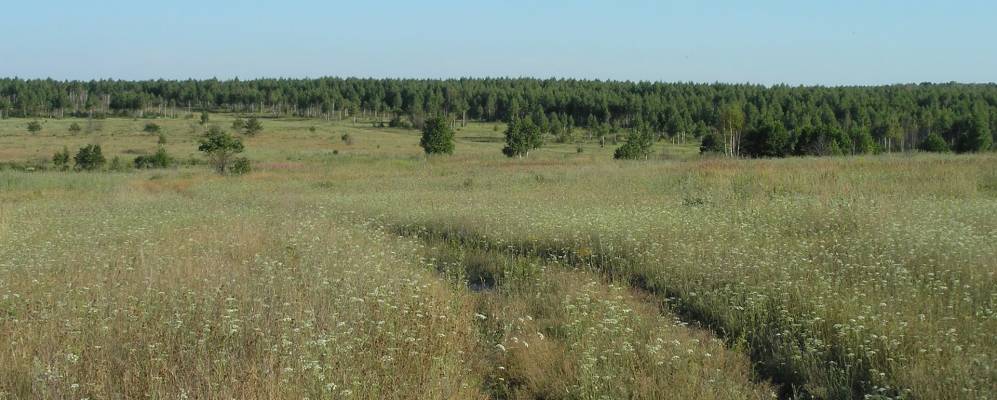 
            Фотография Архапки