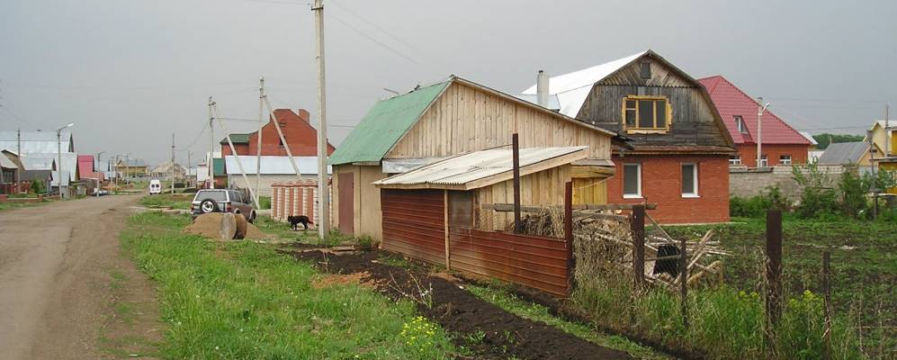 Фотография Дубков