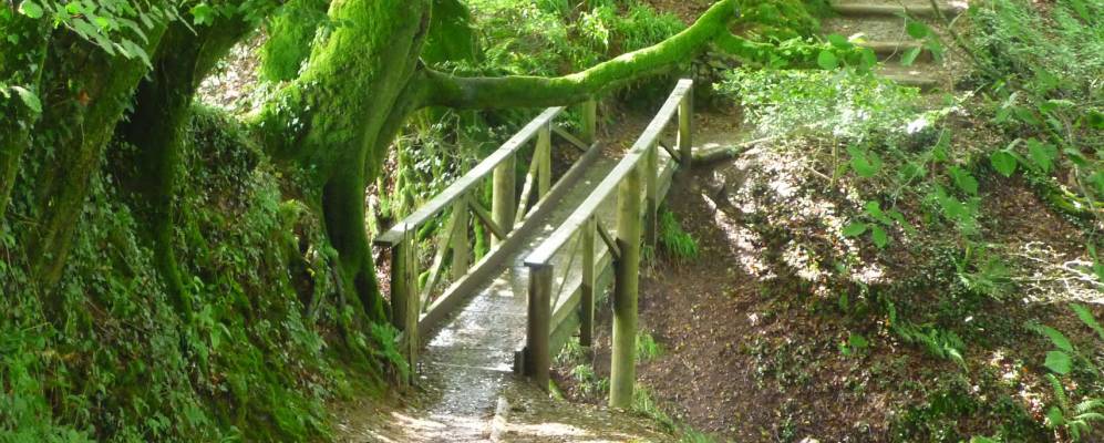 
            Фотография Lydford