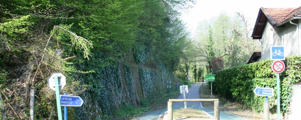 
            Фотография Латрена