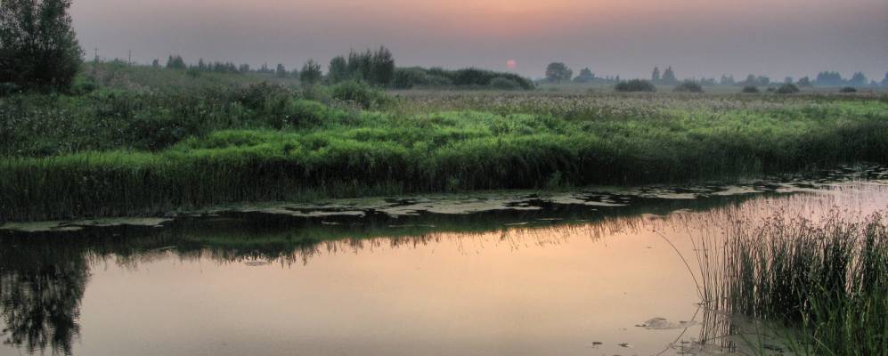 
            Фотография деревни Краули